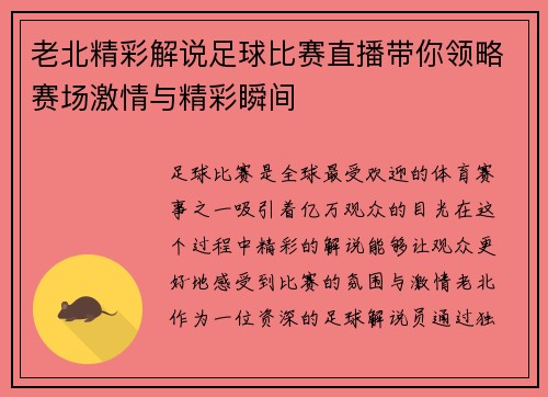 老北精彩解说足球比赛直播带你领略赛场激情与精彩瞬间